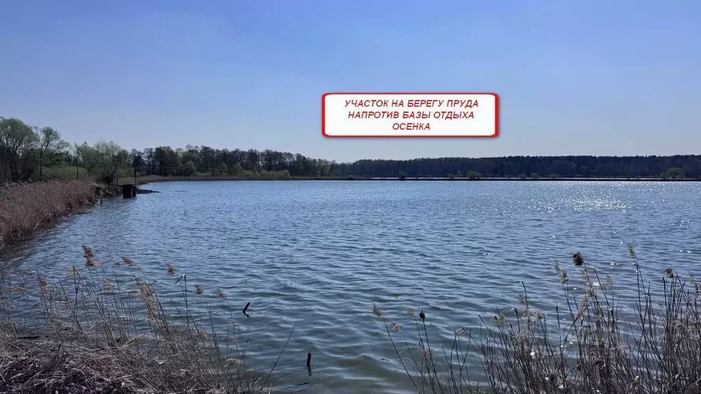 Участок в Московская область, Коломна городской округ, д. ... - Фото 1