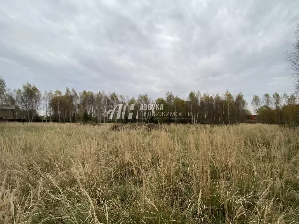 Участок в Московская область, Рузский городской округ, д. Игнатьево ... - Фото 1