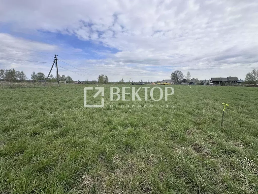 Участок в Костромская область, Костромской район, Шунгенское с/пос, с. ... - Фото 2