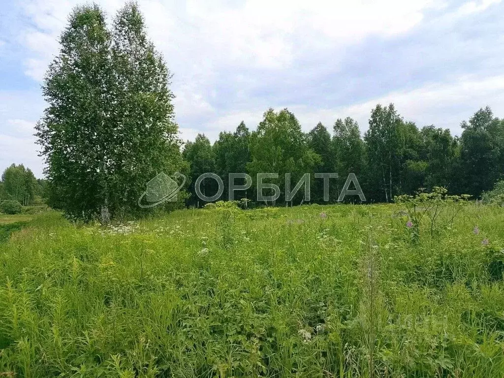 Участок в Тюменская область, Нижнетавдинский муниципальный округ, ... - Фото 1