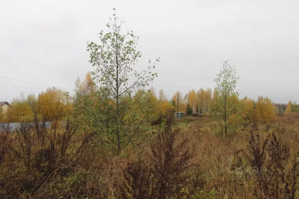 Участок в Московская область, Шаховская муниципальный округ, д. ... - Фото 1