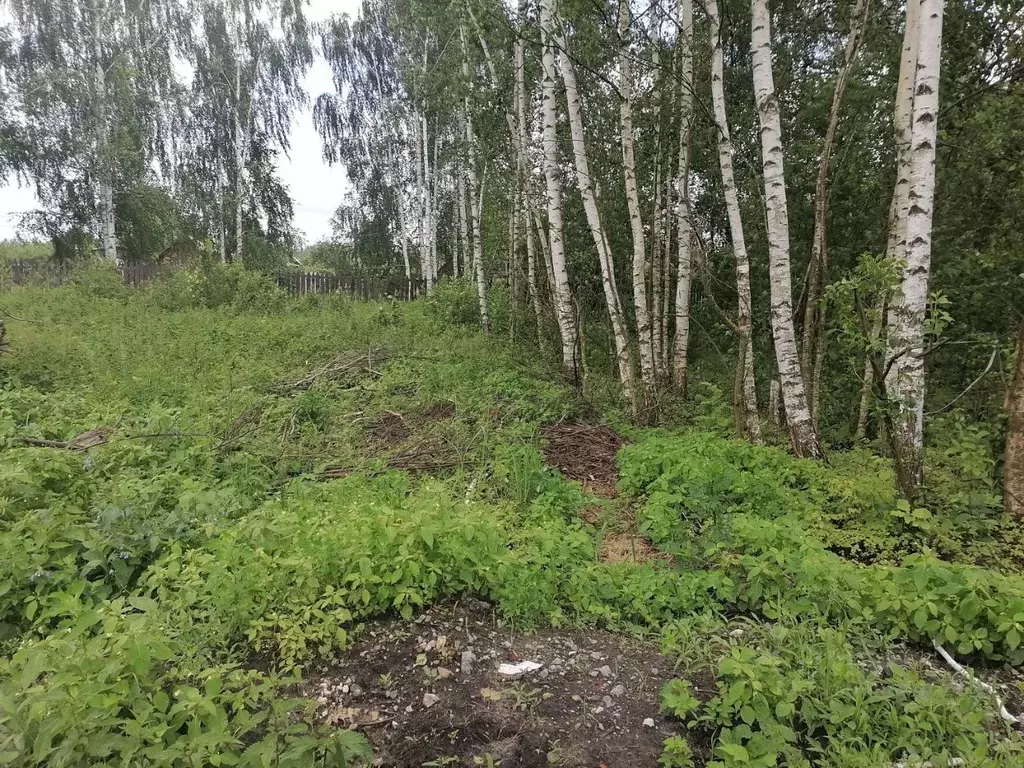 Участок в Московская область, Шатура Молодежная ул., 7 (6.0 сот.) - Фото 0