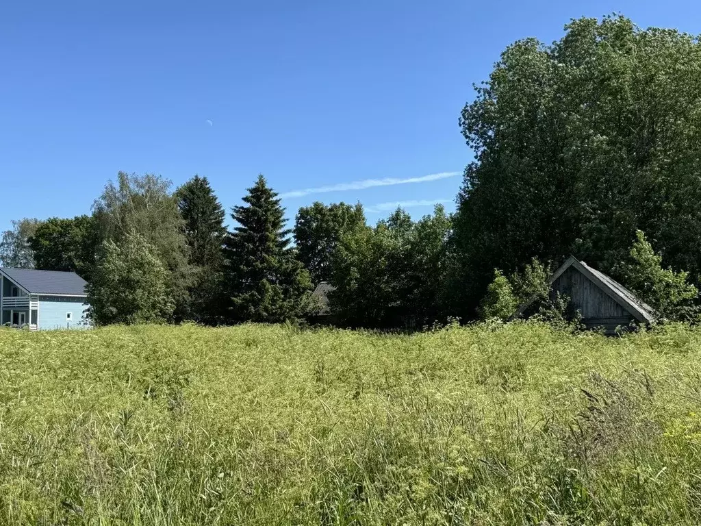 Участок в Ленинградская область, Волосовский район, Клопицкое с/пос, ... - Фото 2