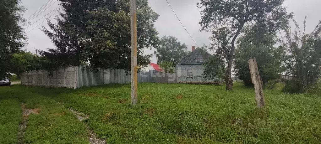 Участок в Брянская область, Брянский район, Мичуринское с/пос, д. ... - Фото 1