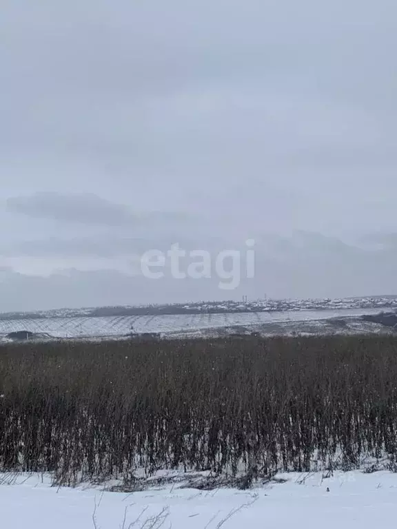 Участок в Белгородская область, Белгородский район, Головинское с/пос, ... - Фото 1