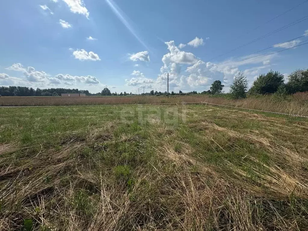 Участок в Костромская область, Костромской район, Шунгенское с/пос, с. ... - Фото 1