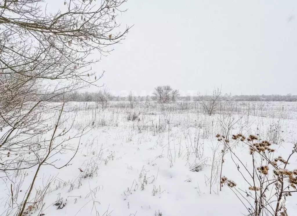 Участок в Ульяновская область, Ульяновский район, с. Большие Ключищи ... - Фото 1