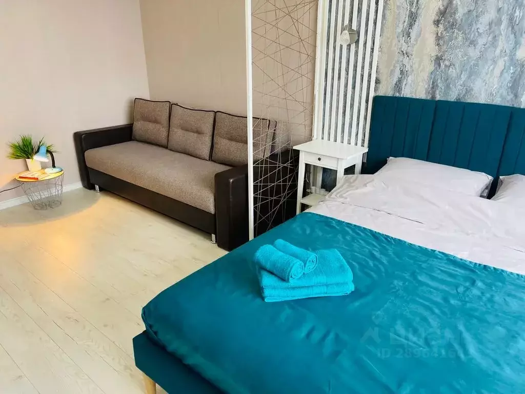 1-к кв. Московская область, Ногинск Богородский городской округ, ул. ... - Фото 1