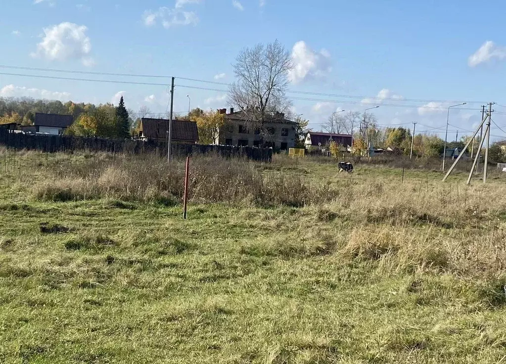 Участок в Свердловская область, Нижний Тагил Рудник имени 3-го ... - Фото 2