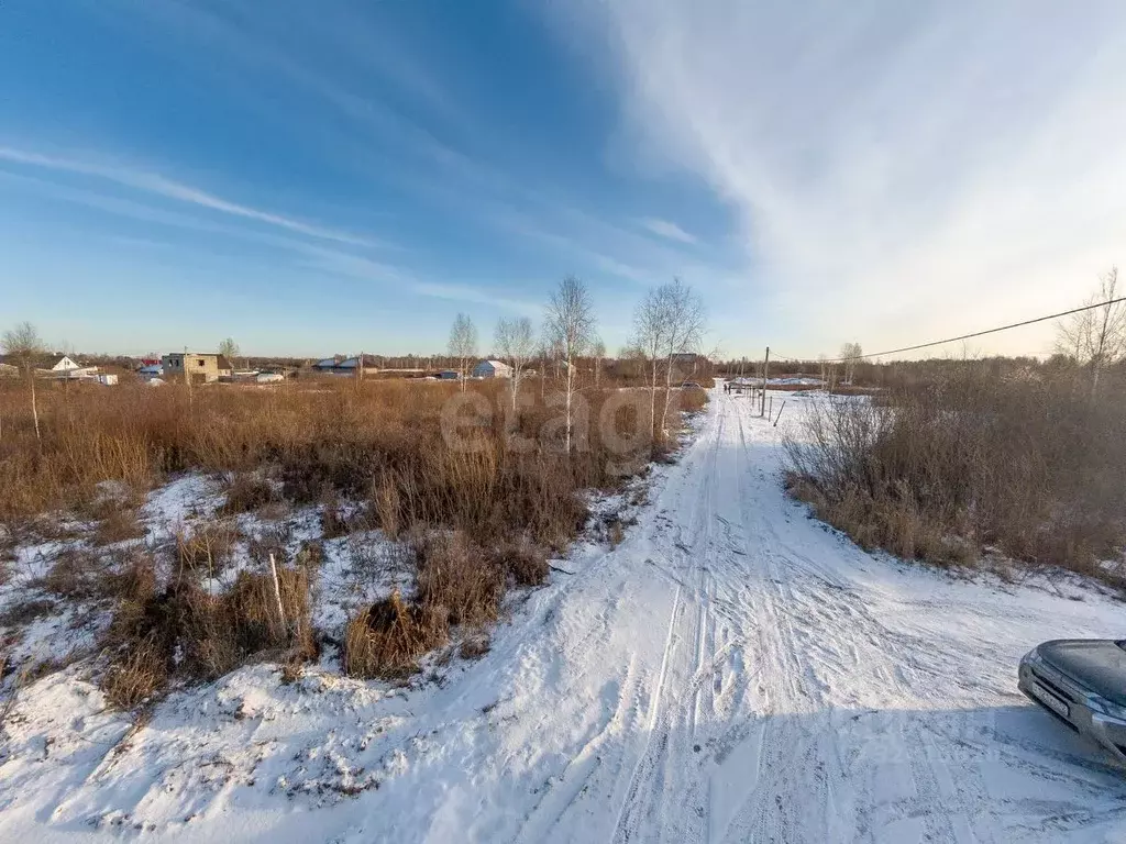 Участок в Тюменская область, Тюмень Царево садовое товарищество, 198 ... - Фото 1