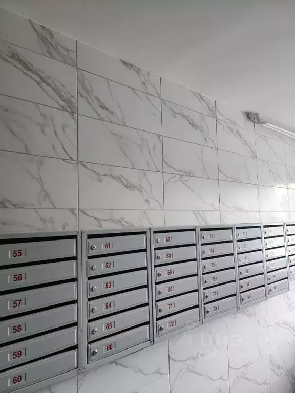 2-к кв. Амурская область, Благовещенск Северная ул., 170 (64.2 м) - Фото 2