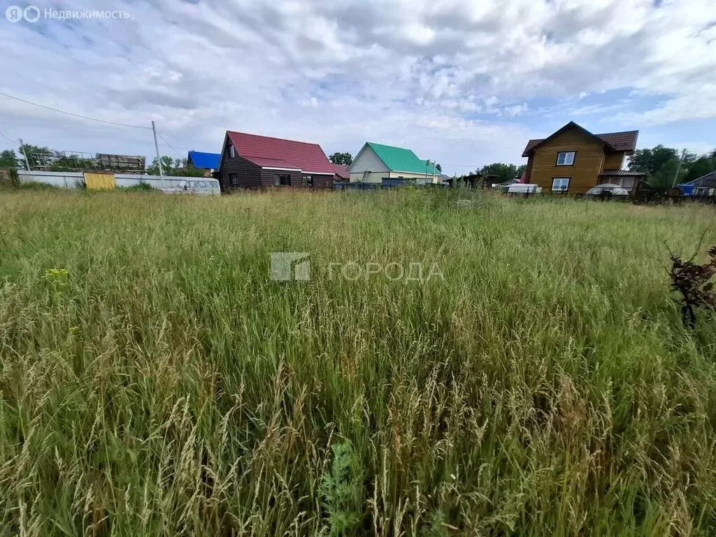 Участок в Новосибирский район, Верх-Тулинский сельсовет, ДНТ Берёзка, ... - Фото 0