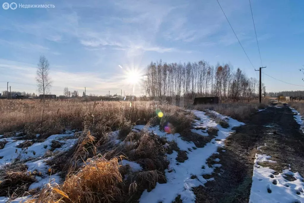 Участок в Тюменская область, Ялуторовский муниципальный округ, садовое ... - Фото 2