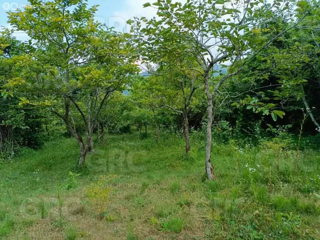 Участок в Краснодарский край, городской округ Сочи, село ... - Фото 0