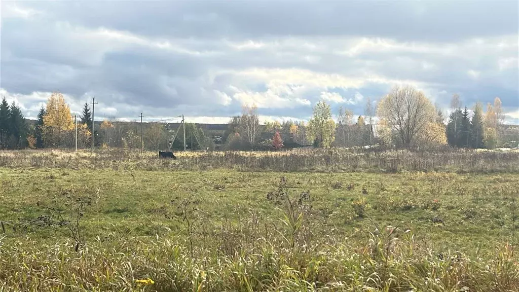 Участок в Московская область, Ступино городской округ, с. Куртино  ... - Фото 1