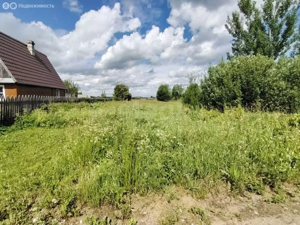 Участок в Волховский район, Кисельнинское сельское поселение, деревня ... - Фото 1