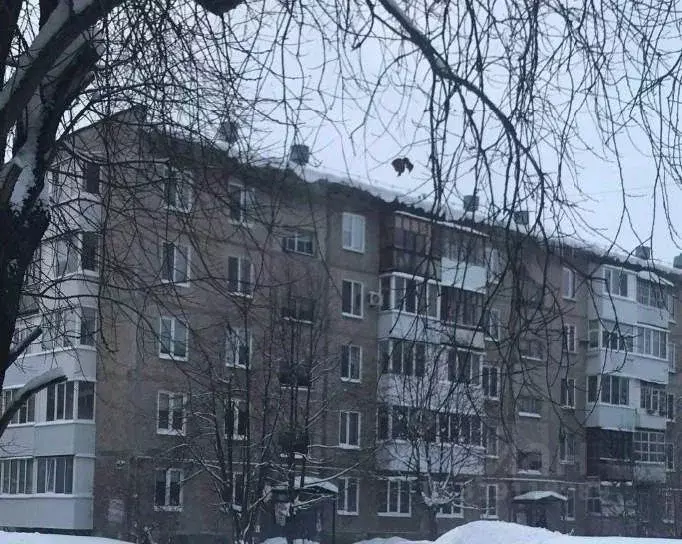 1-к кв. Пермский край, Березники ул. 30 лет Победы, 33 (33.0 м) - Фото 0