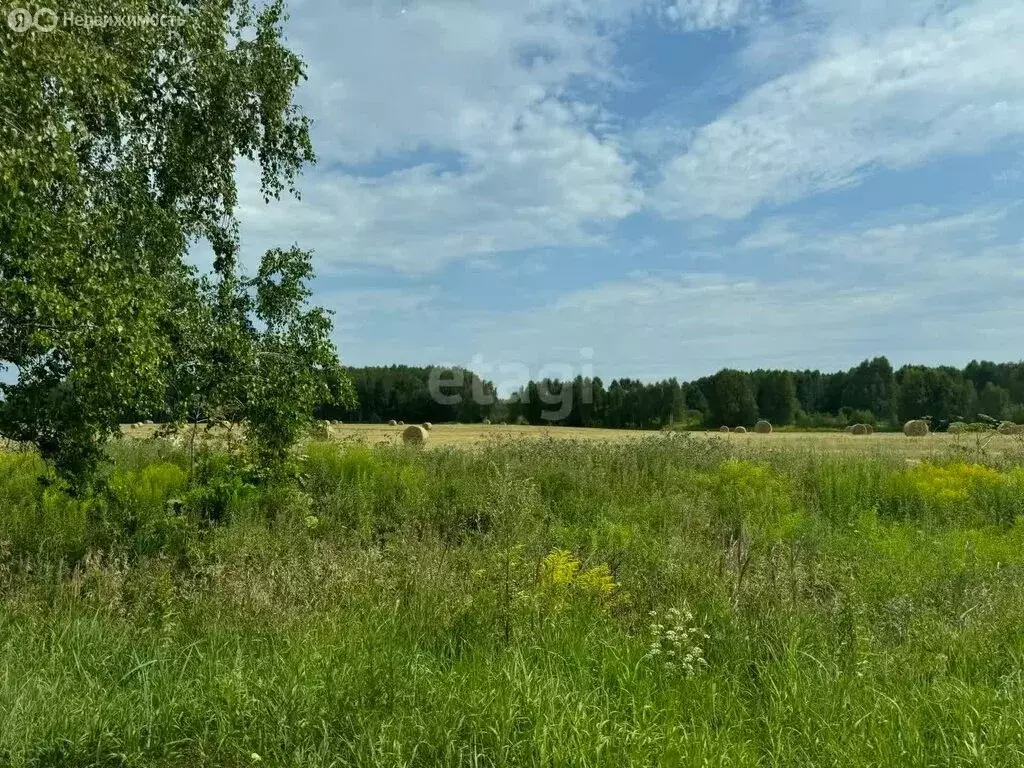 Участок в Нижегородская область, Городецкий муниципальный округ, ... - Фото 0