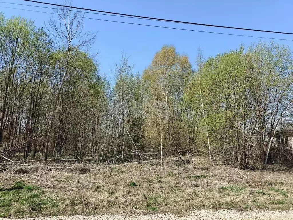 Участок в Владимирская область, Муром с. Ковардицы, Лопатино мкр,  ... - Фото 0