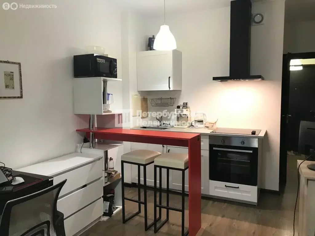 Квартира-студия: Санкт-Петербург, проспект Ветеранов, 169к1 (24.2 м) - Фото 1