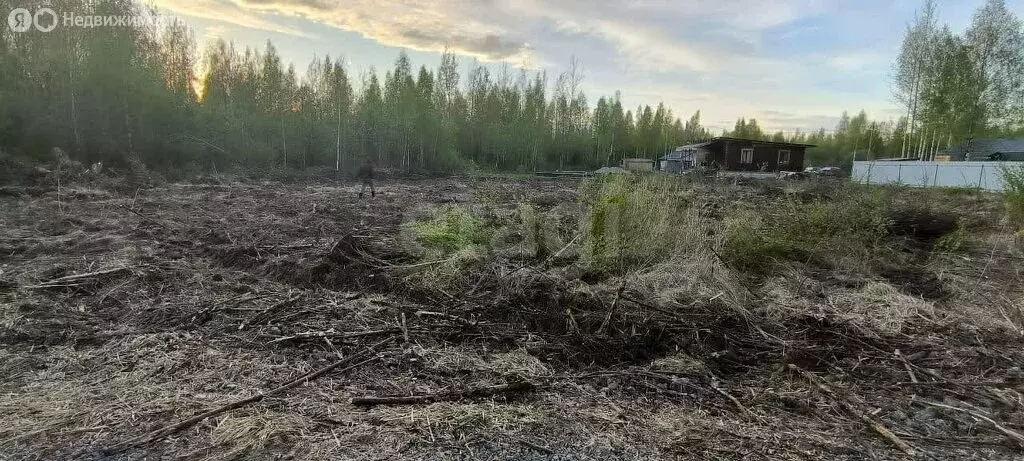 Участок в деревня Нова, улица Суворова (1500 м) - Фото 0