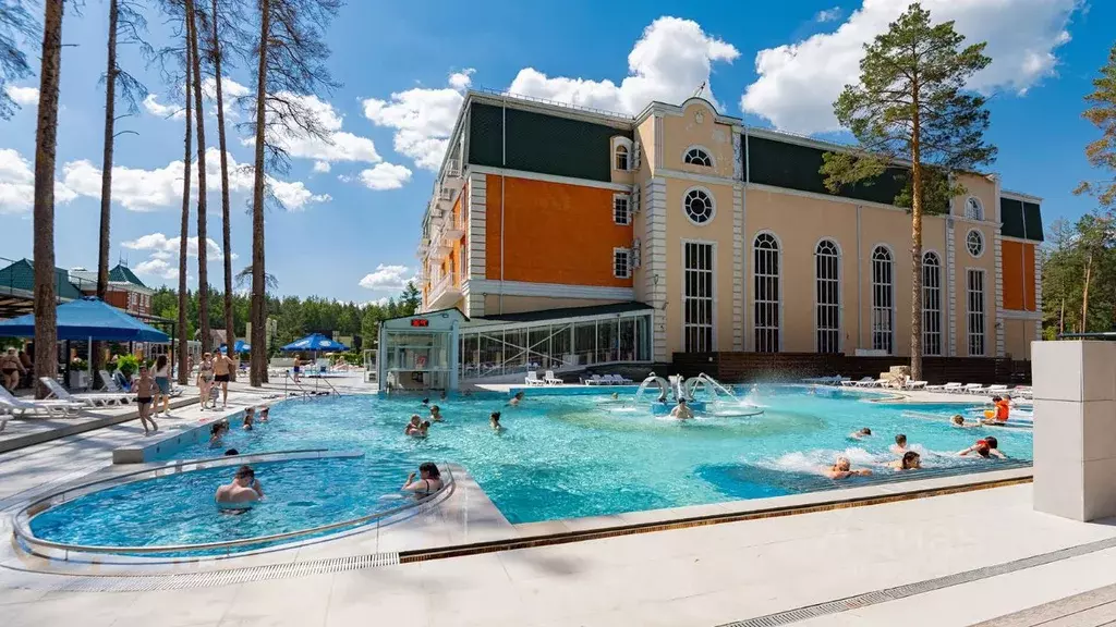 Помещение свободного назначения в Челябинская область, с. Еткуль ул. ... - Фото 1