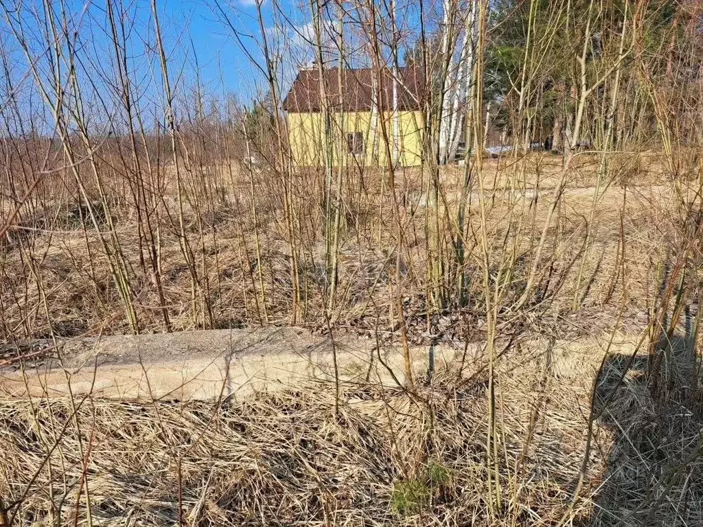 Участок в Псковская область, Невельский муниципальный округ, д. ... - Фото 1