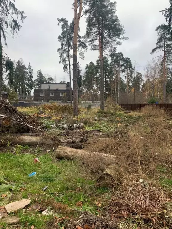 Участок в Московская область, Пушкино Клязьма мкр, Лермонтовская ул., ... - Фото 1