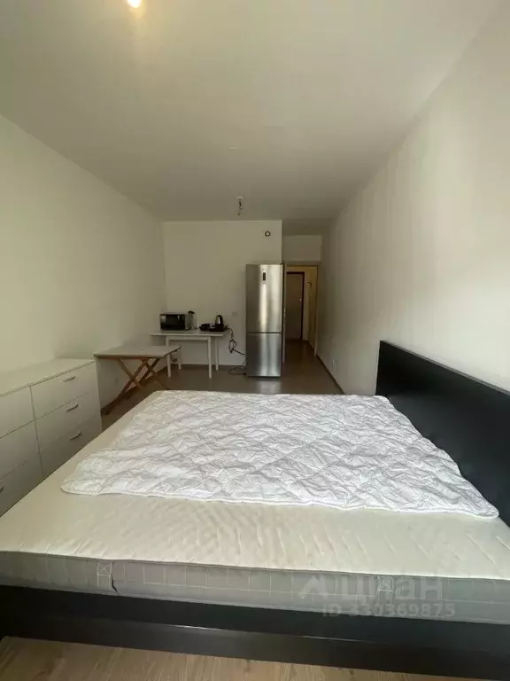 Студия Санкт-Петербург ул. Летчика Лихолетова, 14к2 (24.5 м) - Фото 1