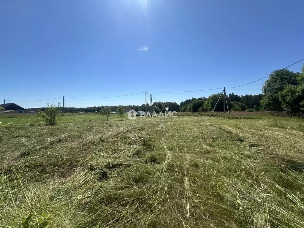 Участок в Московская область, Егорьевск муниципальный округ, д. ... - Фото 2