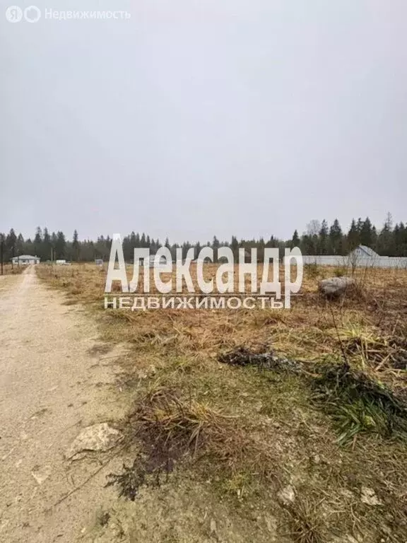 Участок в Гостилицкое сельское поселение, коттеджный посёлок Лисички ... - Фото 2