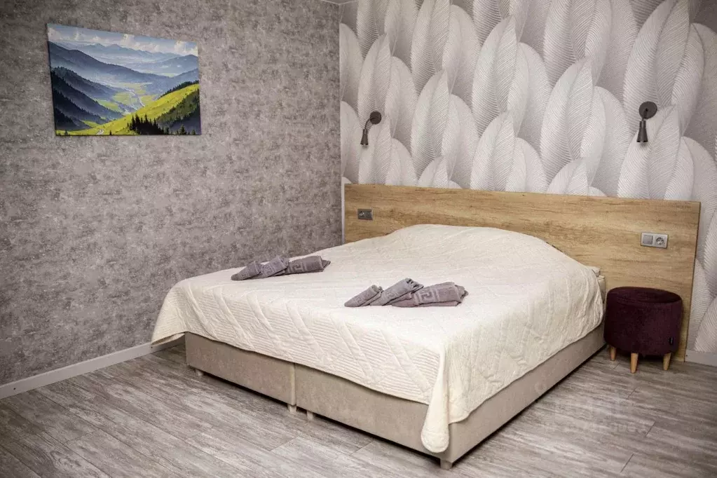 Комната Алтай, Майминский район, с. Манжерок Береговая ул., 4 (24.0 м) - Фото 1