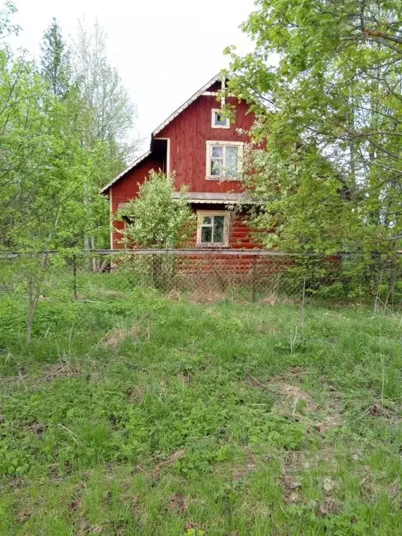 Помещение свободного назначения в Вологодская область, Вытегорский ... - Фото 0