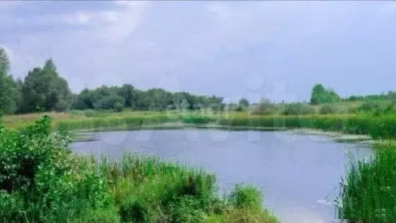 Участок 14,7 сот. (СНТ, ДНП) - Фото 1