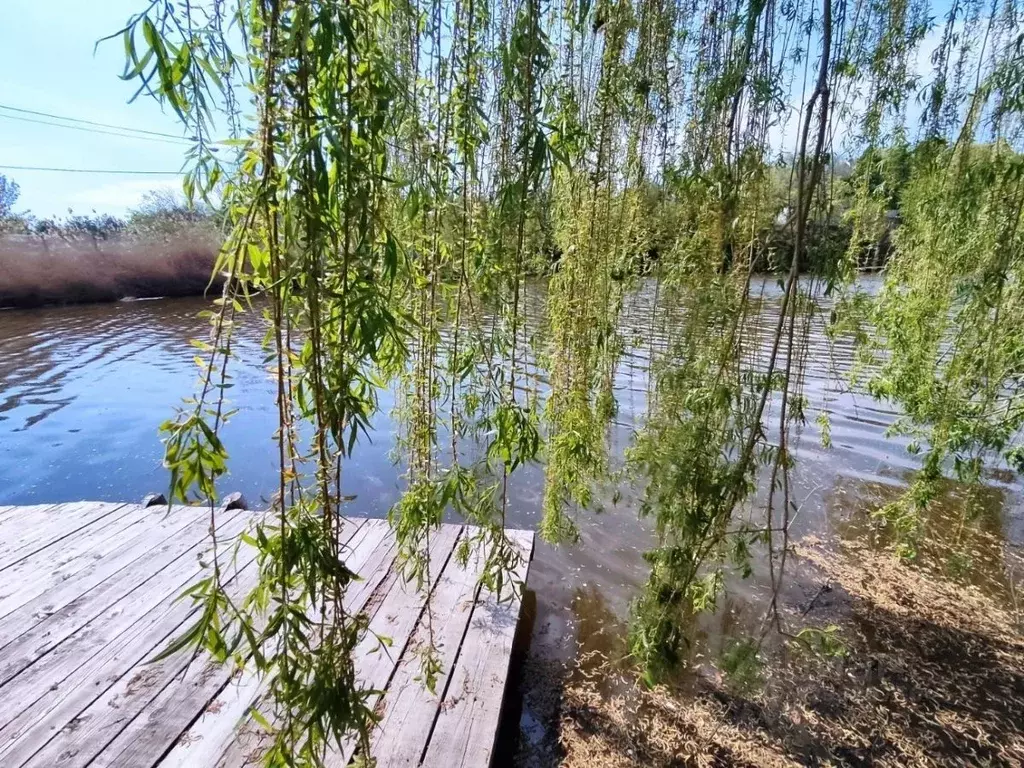 Дом в Волгоградская область, Волгоград Колос СНТ, 2-я линия (101 м) - Фото 2
