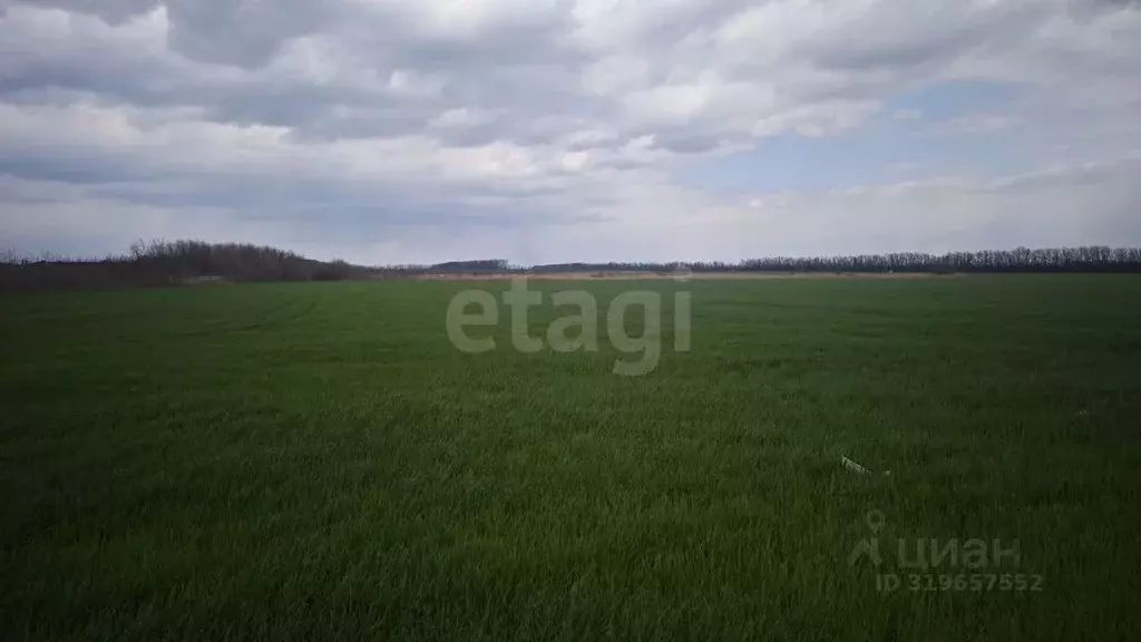 Участок в Ростовская область, Мясниковский район, Красный Крым хут. ... - Фото 0