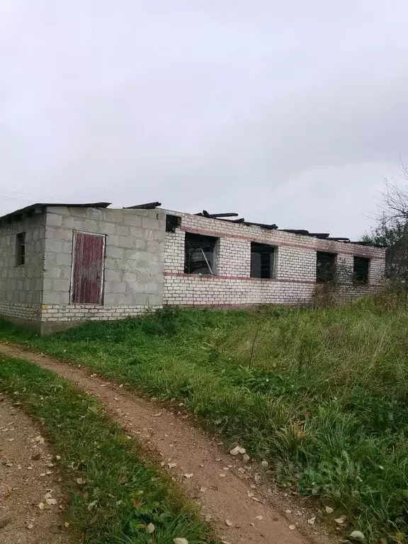 Дом в Калужская область, Мещовск городское поселение, д. Шушуново  ... - Фото 1