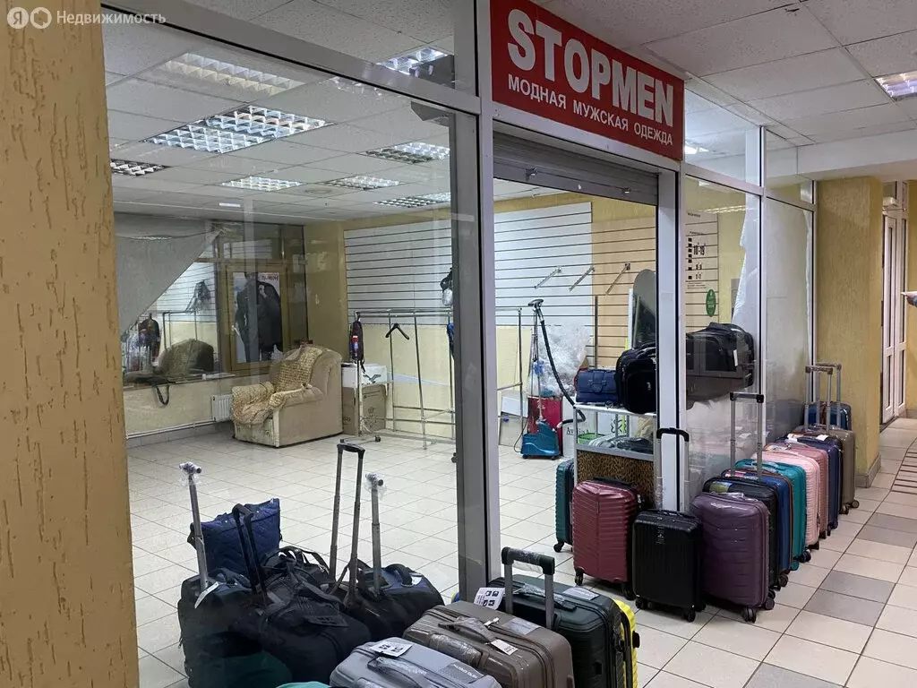 Помещение свободного назначения (36.1 м) - Фото 1