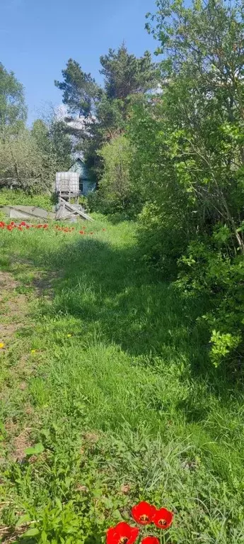 Участок в Московская область, Пушкинский городской округ, с. Левково  ... - Фото 2