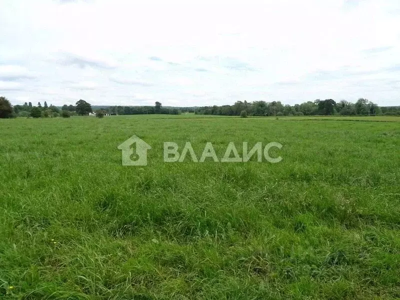 Участок в Ивановская область, Ивановский муниципальный округ, д. ... - Фото 1