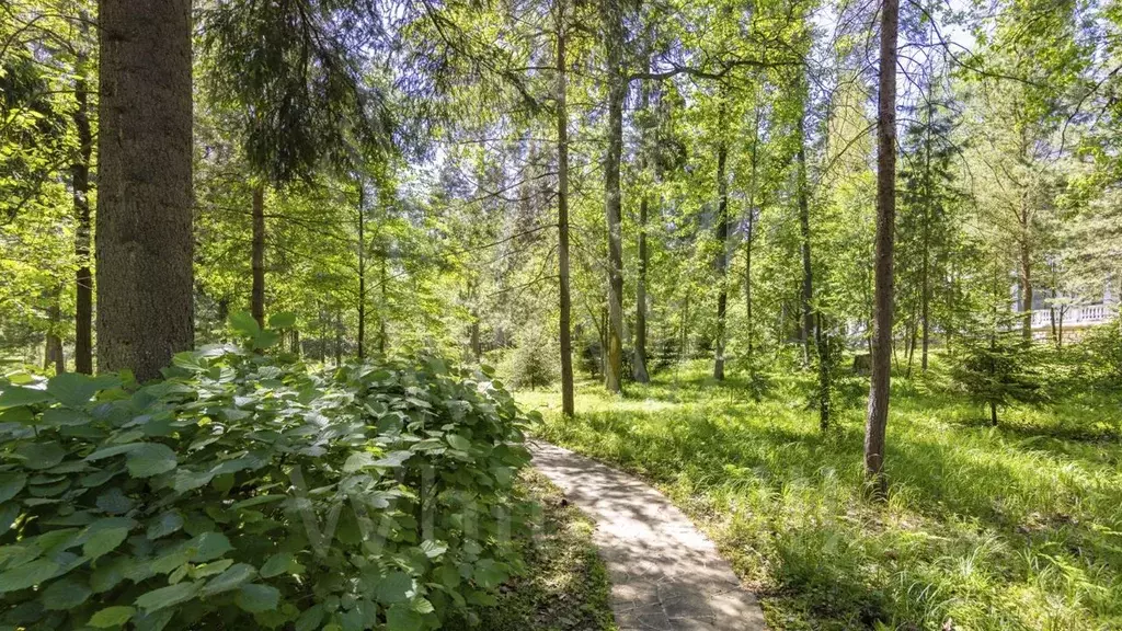 Участок в Московская область, Звенигород Одинцовский городской округ, ... - Фото 0