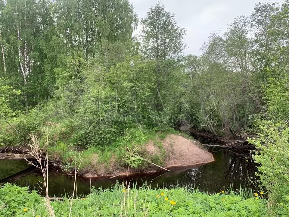 Купить Участок В Лодейнопольском Районе