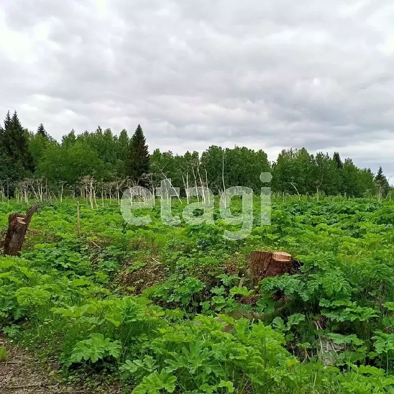 Участок в Коми, Сыктывкар Давпон мест.,  (11.0 сот.) - Фото 1