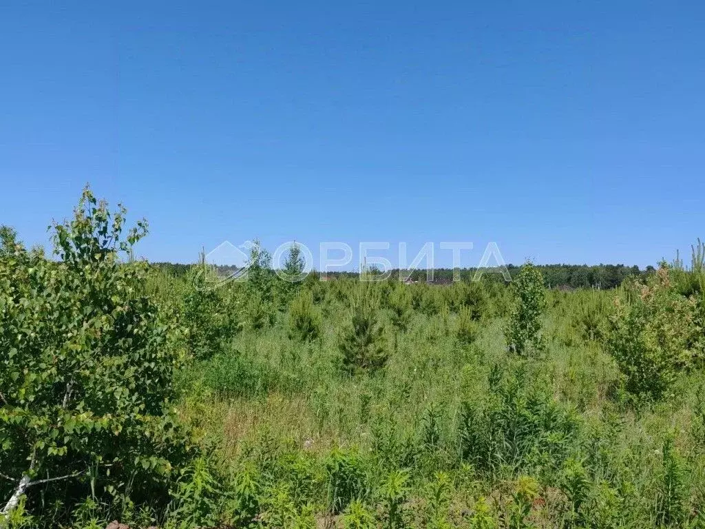 Участок в Тюменская область, Тюменский район, с. Кулига, Кулига-2 мкр  ... - Фото 0
