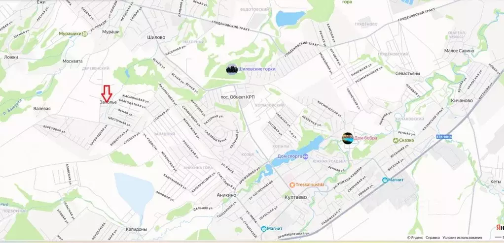 Участок в Пермский край, Пермский муниципальный округ, д. Заполье ул. ... - Фото 1