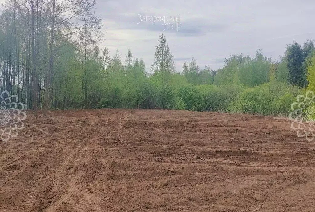 Участок в Московская область, Балашиха Безменково-2 СНТ,  (10.0 сот.) - Фото 0