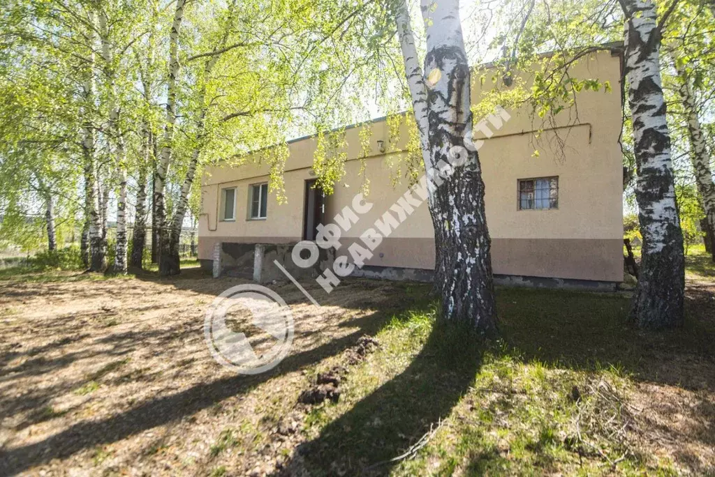 Дом в Пензенская область, Бессоновский район, с. Трофимовка ... - Фото 0