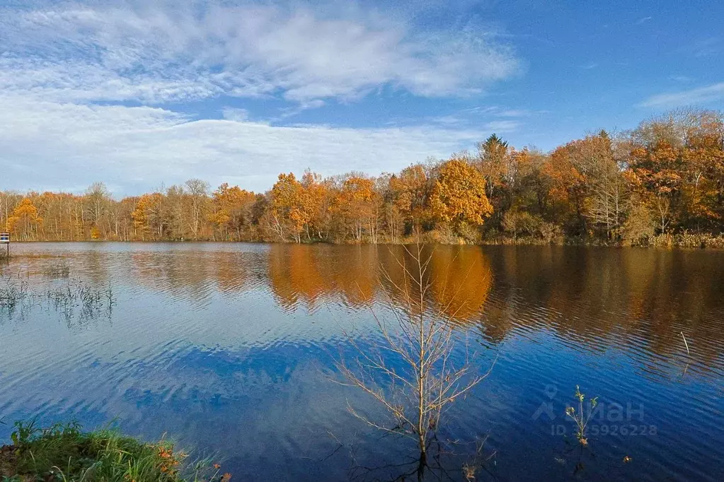 Дом в Калининградская область, Зеленоградский муниципальный округ, ... - Фото 2