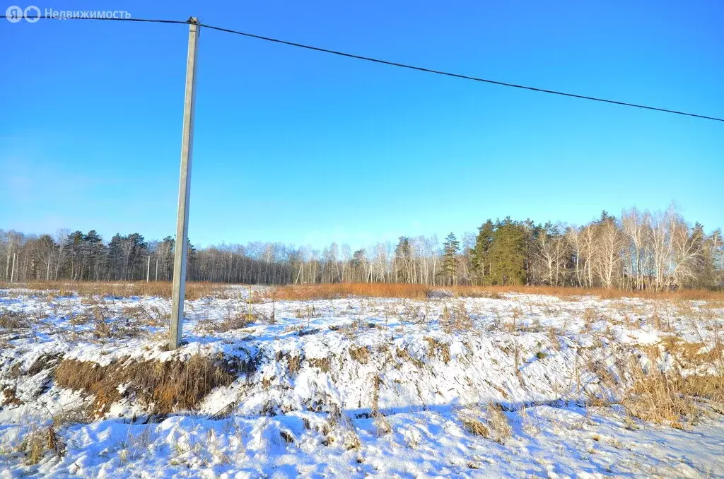 Участок в Заводоуковск, улица Семёна Урусова (8.75 м) - Фото 2