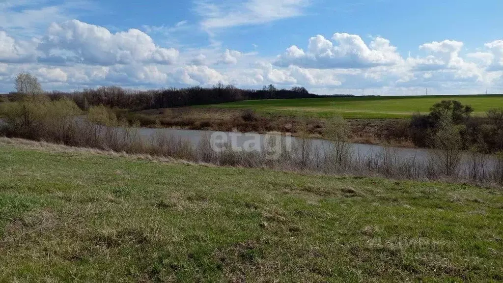 Участок в Саратовская область, Лысогорский район, Большерельненское ... - Фото 1